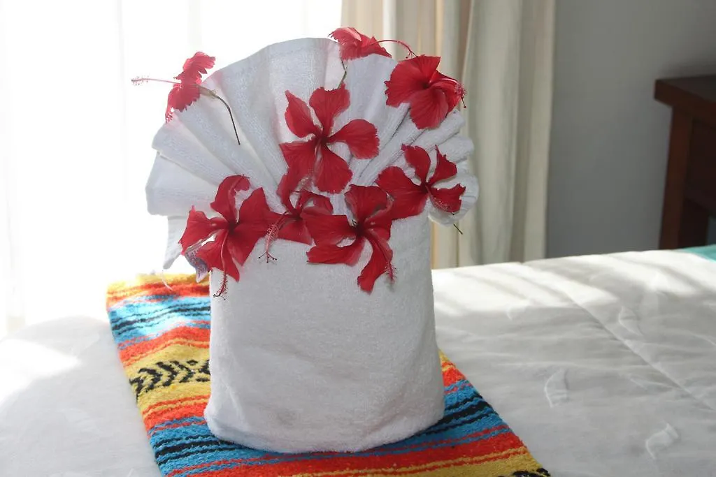 Casa Camelia B&B Playa del Carmen