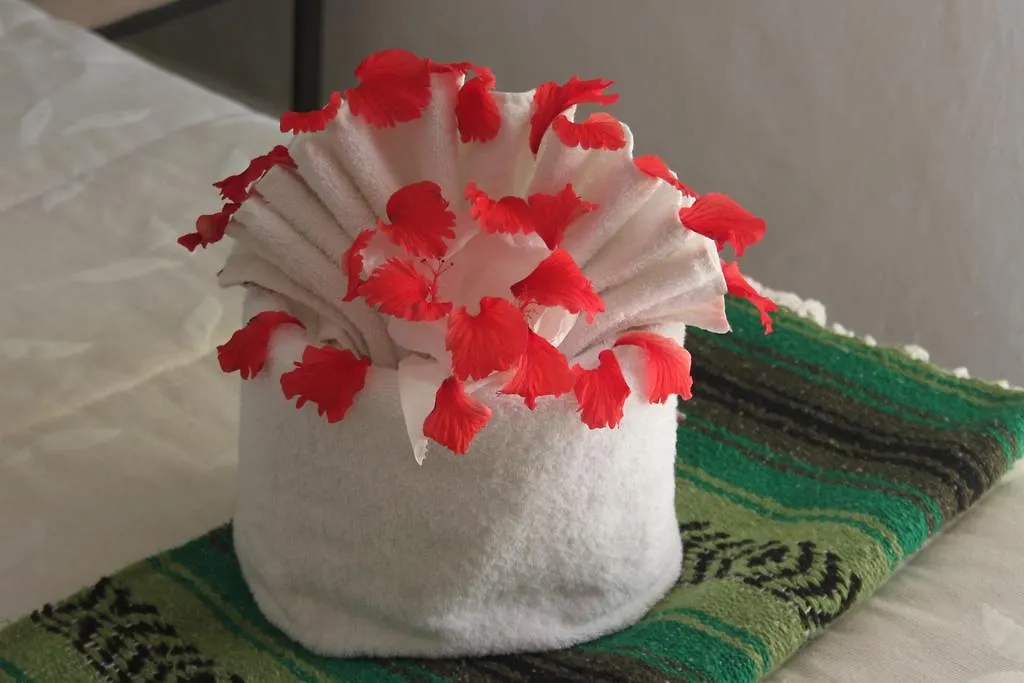 Casa Camelia B&B Playa del Carmen 2*,  Mexico