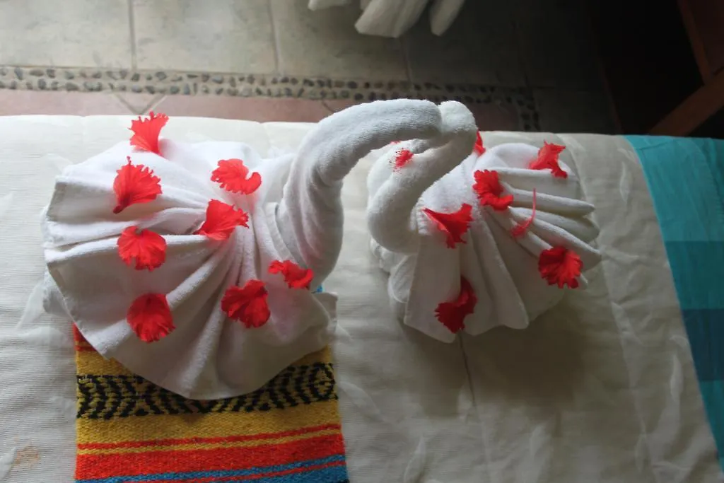 Casa Camelia B&B Playa del Carmen