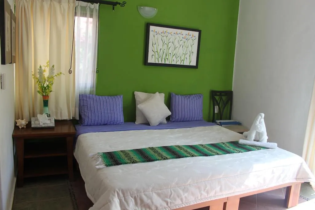 Casa Camelia B&B Playa del Carmen Bed & Breakfast