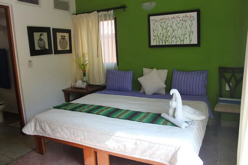 Casa Camelia B&B Playa del Carmen Mexico