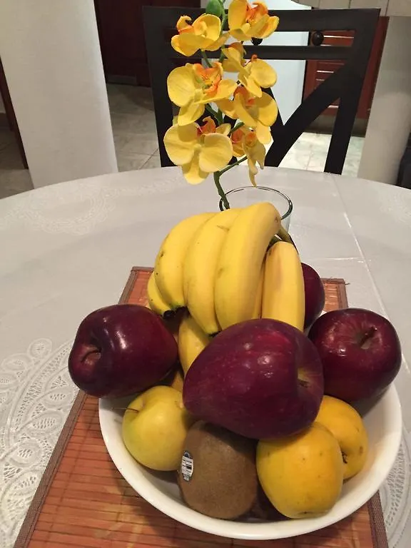 ** Bed & Breakfast Casa Camelia B&B Playa del Carmen Mexico