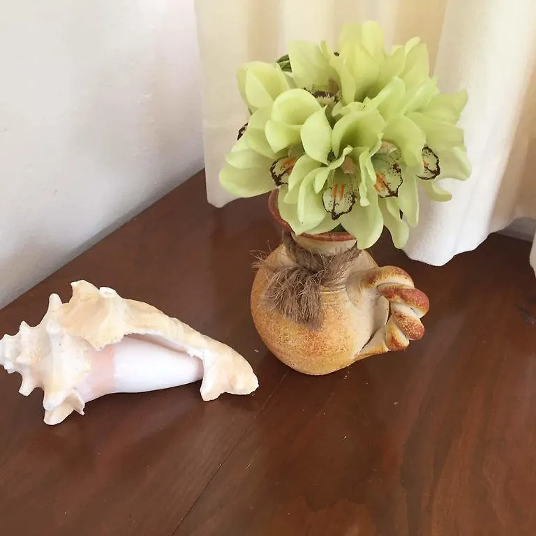 Casa Camelia B&B Playa del Carmen Bed & Breakfast